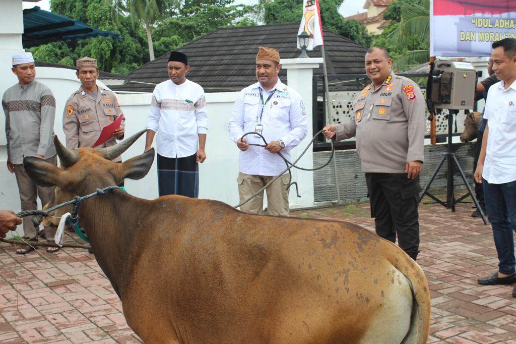 Polda Maluku Serahkan 20 Ekor Hewan Kurban Kepada Masyarakat 1 IMG 20230628 WA0076