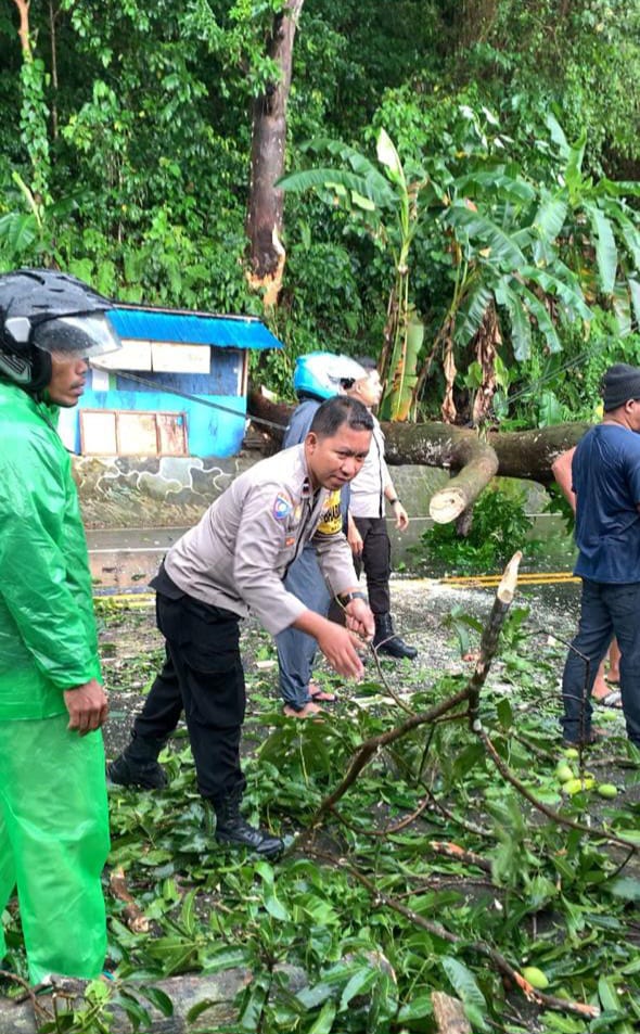 Polisi Gerak Cepat Atasi Pohon Tumbang Pada Jl. Dr. J. Leimena Negeri Hative Besar Kec. Teluk Ambon 2 IMG 20230712 WA0025