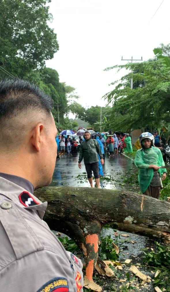 Polisi Gerak Cepat Atasi Pohon Tumbang Pada Jl. Dr. J. Leimena Negeri Hative Besar Kec. Teluk Ambon 1 IMG 20230712 WA0027