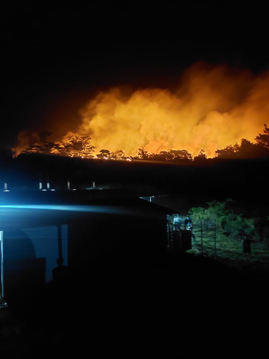 Lahan Gambut di Bula Terbakar, Kapolda Perintahkan Pengerahan Mobil AWC dan Peralatan Polri 1 IMG 20230822 WA0079