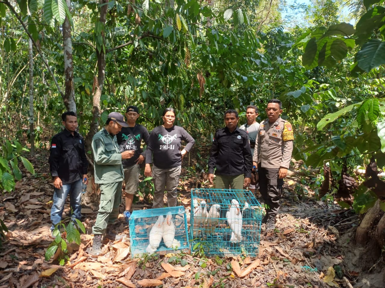 Bhabinkamtibmas Desa Waesala Bersama BKSDA Maluku Melakukan Pelepasliaran Satwa Dilindungi 1 WhatsApp Image 2023 11 16 at 13.40.42 41cc7671