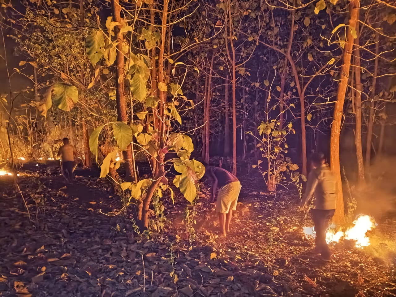 Personel Polsek Serwaru Bersama Warga bahu.membahu Padamkan Kebakaran Hutan dan Lahan. 1 WhatsApp Image 2023 11 16 at 16.37.23 21592977