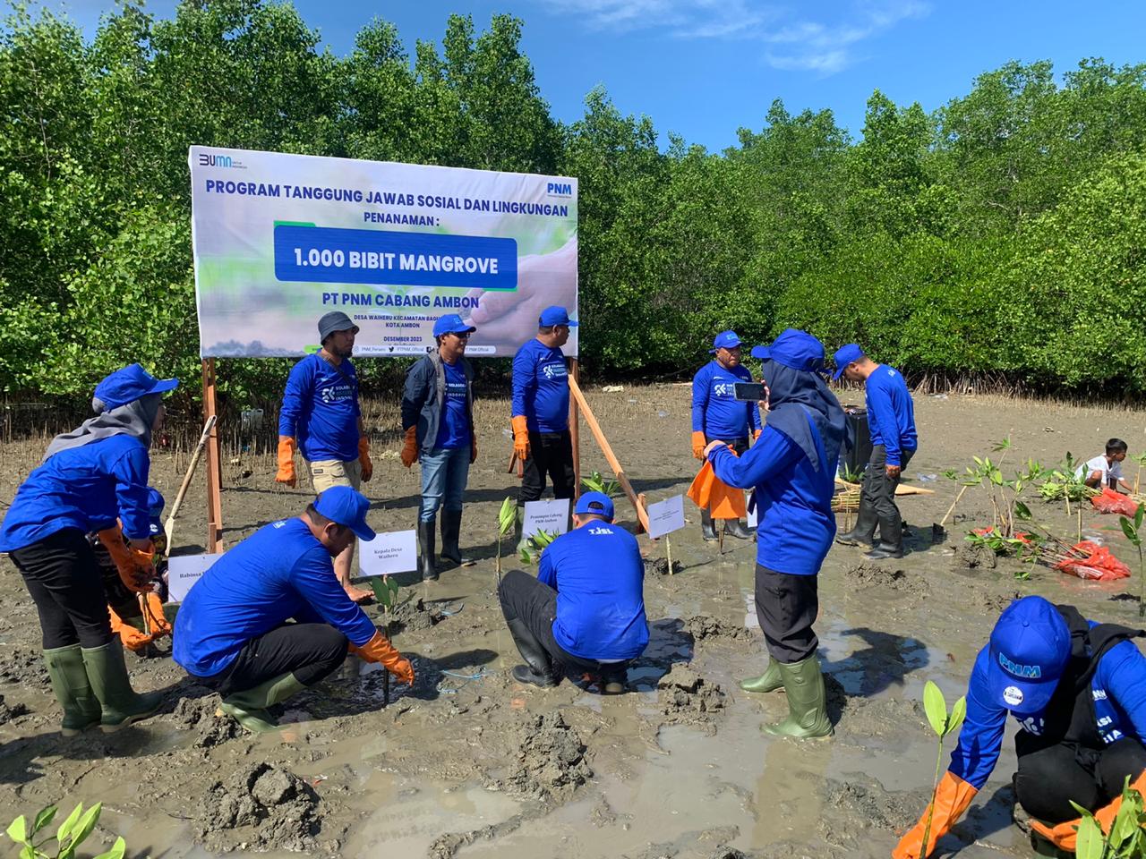 PNM Cabang Ambon Gandeng Pemkot Tanam 1000 Anakan Mangrove di Desa Waiheru 1 WhatsApp Image 2023 12 14 at 04.58.10 9fec542a