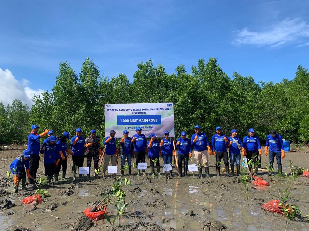 PNM Cabang Ambon Gandeng Pemkot Tanam 1000 Anakan Mangrove di Desa Waiheru 2 WhatsApp Image 2023 12 14 at 04.58.45 13a65d60