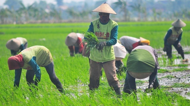 NTP Alami Penurunan 0,37 Persen Di Banding Maret 2025 1 antarafoto nilai tukar petani naik 131123 yn 7 ratio 16x9 1