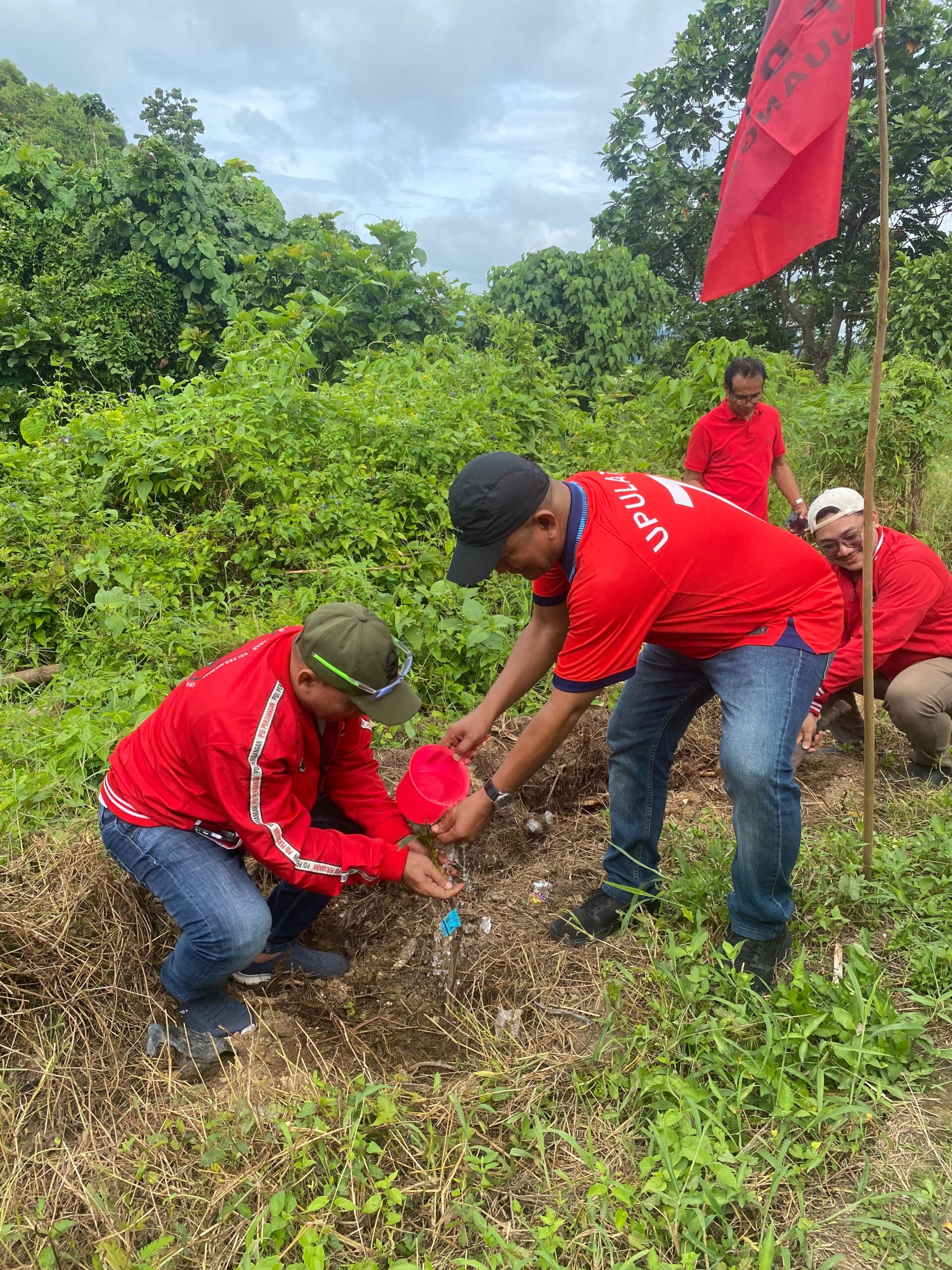 IMG-20260214-WA0016 IMG 20260214 WA0016 scaled