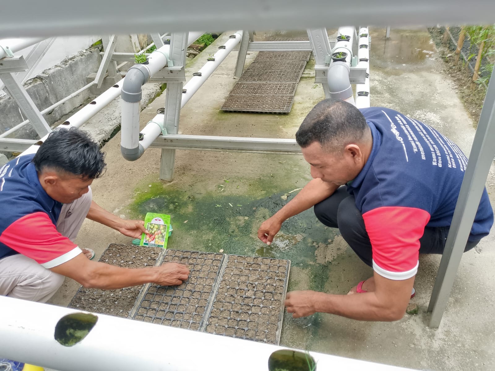 27b452a7-86ee-40ea-a1ad-8a0310242534 27b452a7 86ee 40ea a1ad 8a0310242534