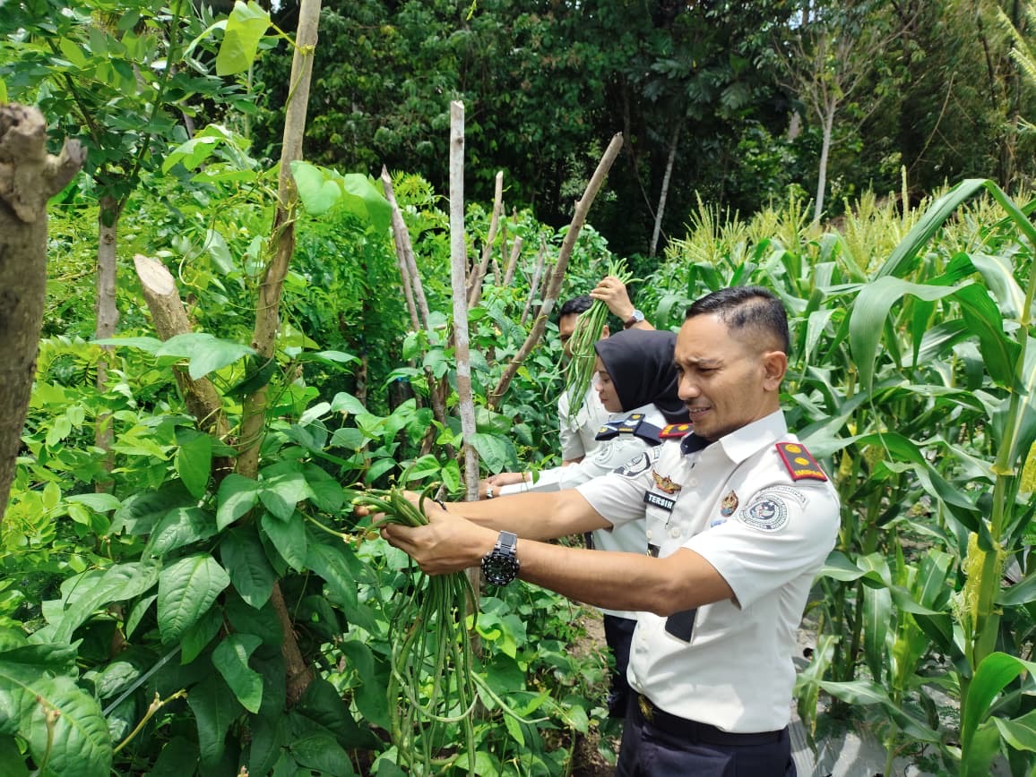 ee99f704-390d-40e0-8731-882aa094476b ee99f704 390d 40e0 8731 882aa094476b