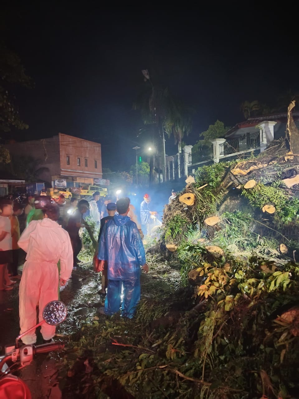 644fdc9a-3468-4fc9-853b-48bab302b8e3 644fdc9a 3468 4fc9 853b 48bab302b8e3