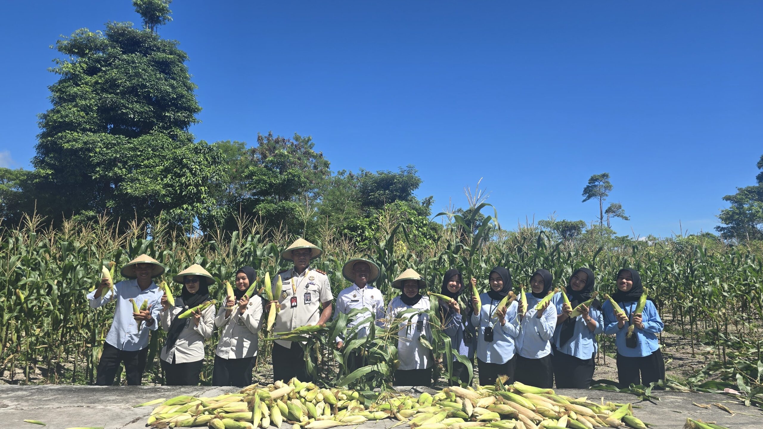 a26e0e5c-c3d7-4a72-938c-eed9918ef508 a26e0e5c c3d7 4a72 938c eed9918ef508 scaled