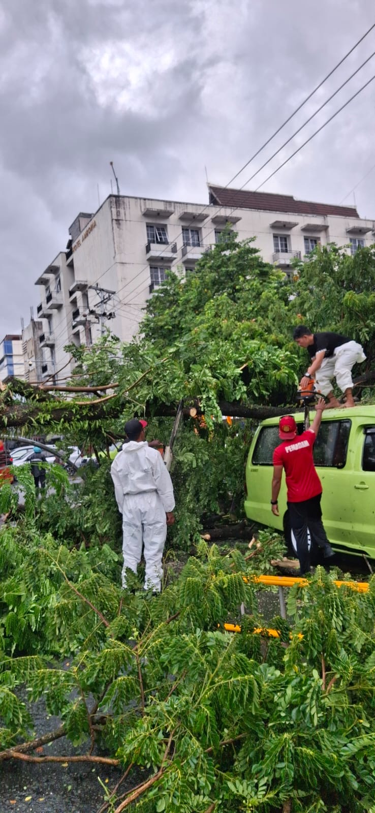 f50b234c-4cf9-4808-a053-97b02a688f74 f50b234c 4cf9 4808 a053 97b02a688f74